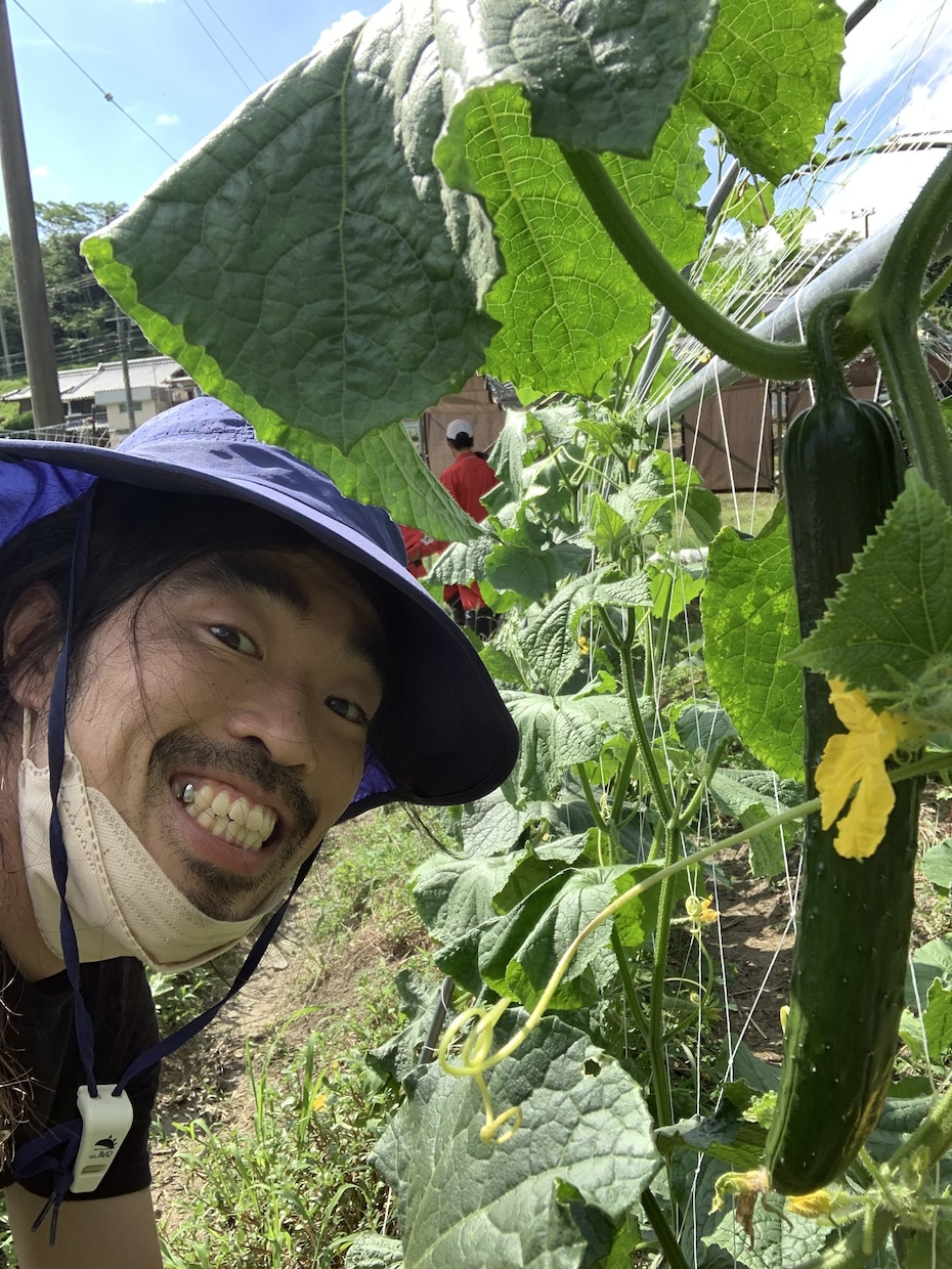 植物の「これからどうしたらいい？」に答えます 主に家庭菜園などの有機野菜作りのアドバイスを行います！ イメージ6
