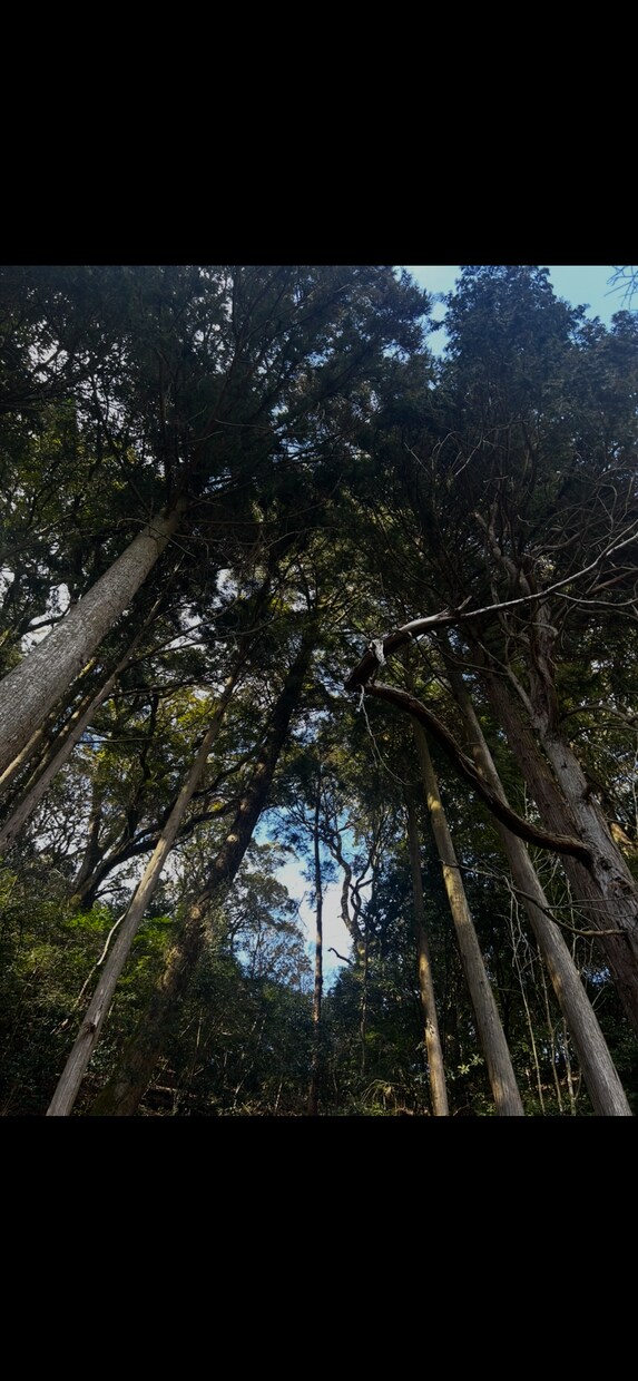 浄化専門、人、土地、建物浄化します 浄化で爽やか気分で過ごしましょう イメージ1