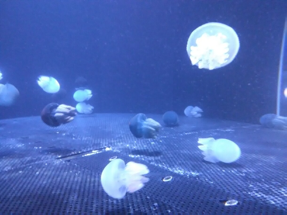 心の悩み聞きます モヤモヤした気持ちを晴らしましょう♪ イメージ1