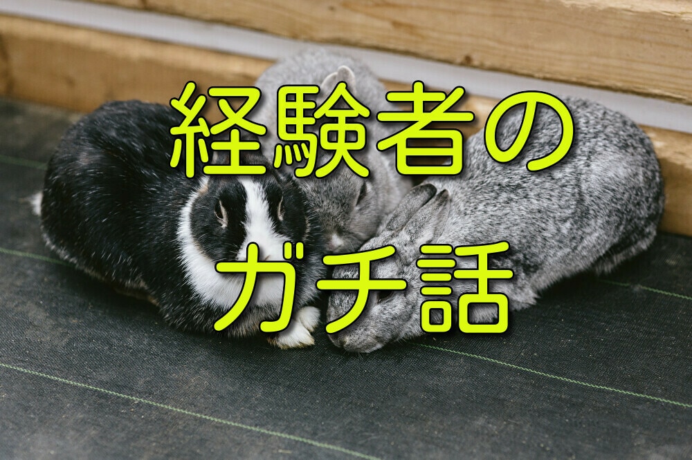 せどり経験者が実体験教えます 儲かるってDM勧誘が来るんだけど、本当なの？ イメージ1