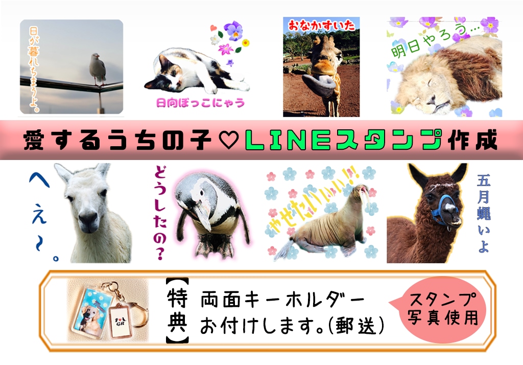 特典付き★お試し価格★LINEスタンプ作成致します ペット・お子様・動物等、どんなお写真でもOK！ イメージ1