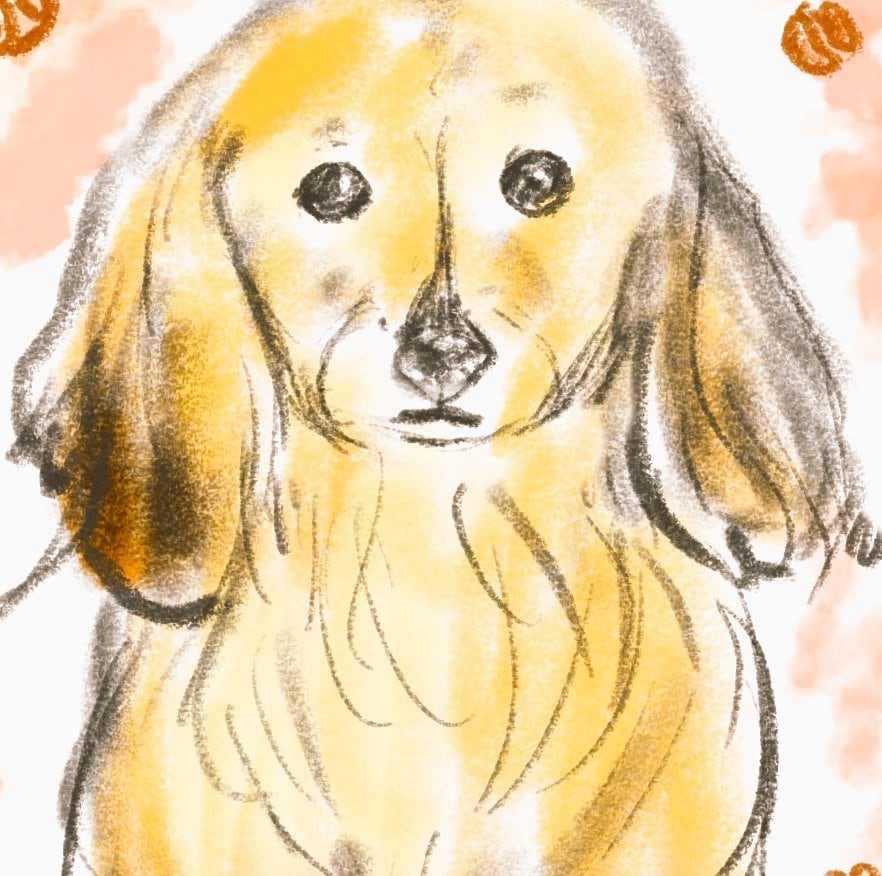ゆるくて可愛いワンちゃんイラスト描きます ゆるくて優しいタッチの手描きデジタルイラストです イメージ5