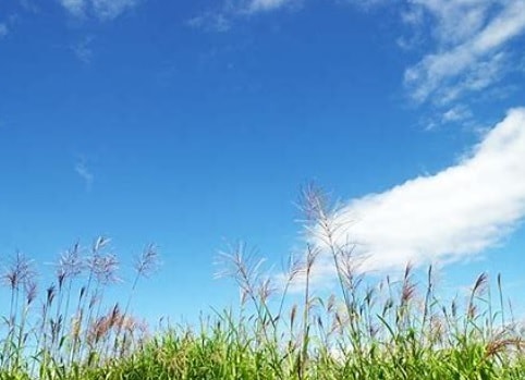 仕事・お金の不安、私がゆっくりと受けとめます 話す事で気持が楽になります。必要なら未来を霊視します！ イメージ10