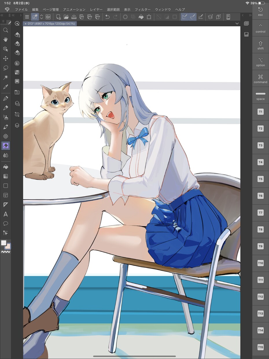 商用利用込∕美少女や男の子のイラスト承ります 美少女､かっこいい男性を魅力的な表情で描くのが得意です イメージ5
