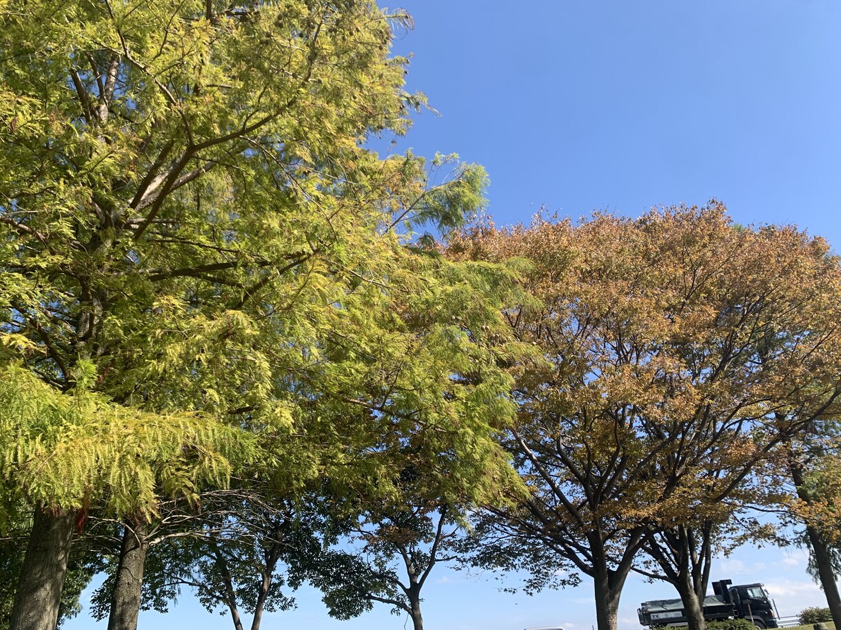 京都弁20代OL☺️あなたの心にふんわり寄添います のんびりお話しして心を軽くしませんか？☺️ イメージ1