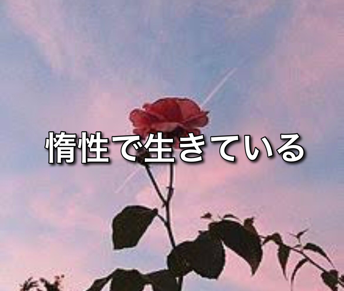 嫉妬・浮気など見返したい、不安な人相談に乗ります 失恋／嫉妬、コーチングで、見返すための『行動アドバイス』 イメージ10