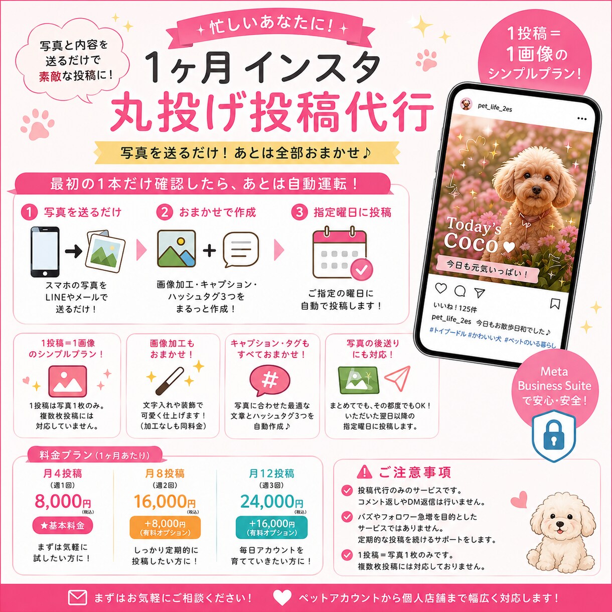 月4回8千円で写真丸投げインスタ投稿代行します 1投稿＝1画像！写真を用意するだけでインスタ投稿代行 イメージ1