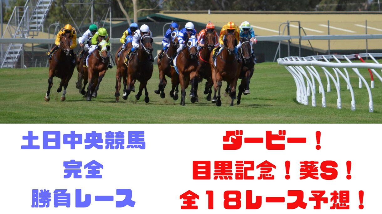 いよいよ日本ダービー！土日中央競馬予想します 日本ダービー！ありとあらゆる馬券術を駆使した馬券！ イメージ1
