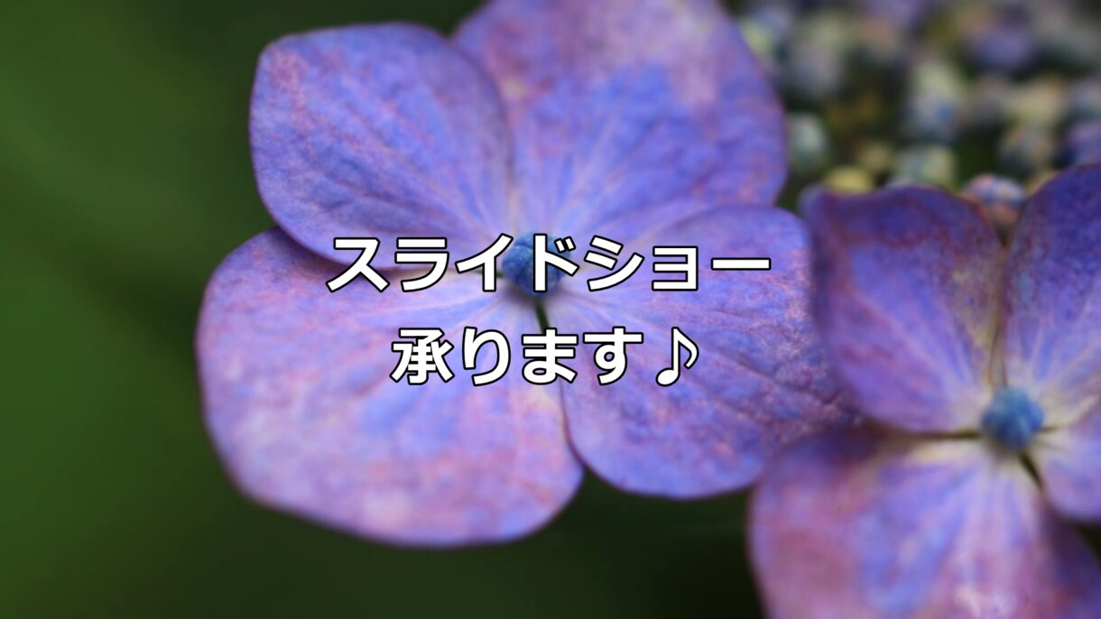 スライドショー作ります スマホ等で撮影した写真をまとめましょう イメージ2