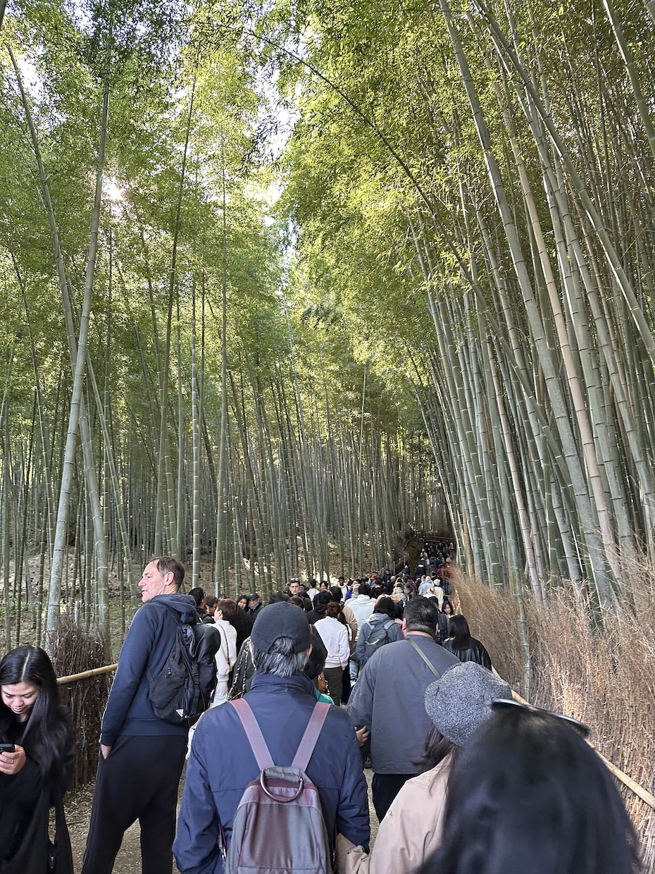 大阪在住 物件周辺の現地調査を代行します 現地のリアルな情報をお届けします。 イメージ2