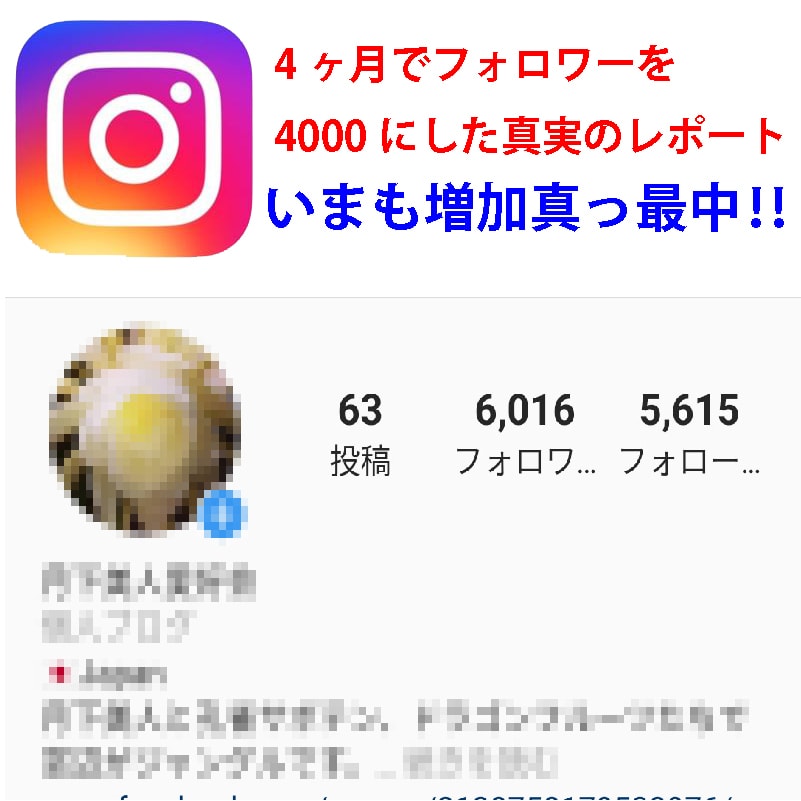 インスタのフォロワーアップ法を教えます フォロワーが増えて「いいね！」も増える、フォロー外しされ難い イメージ1