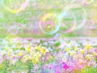あなたの話し相手や愚痴や恋愛や心の悩みを聞きます 色々な相談を受けた経験から少しでも気持ちを楽にしてあげたい イメージ7
