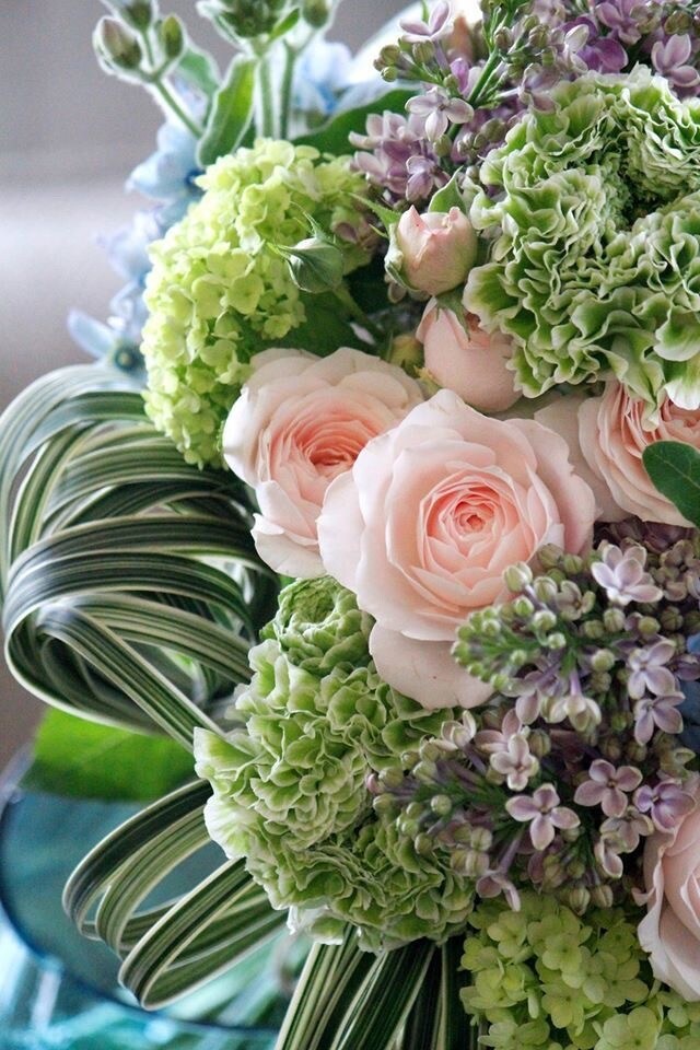 プロが植物のお悩みすぐ解決します 植物、花に関することなんでもお答え致します！ イメージ1