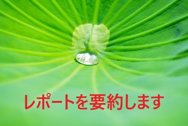 タイムウェーバー　レポート要旨をまとめます レポート全体を読み込み、要旨をまとめてお届け イメージ1