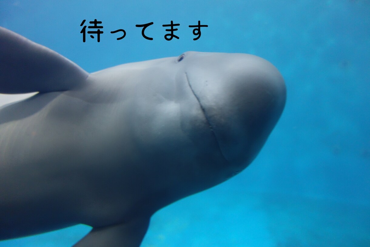 迷っている方へ！1分からでもお話聞きます 雑談、相談、お悩みなどをお話しましょう。 イメージ3