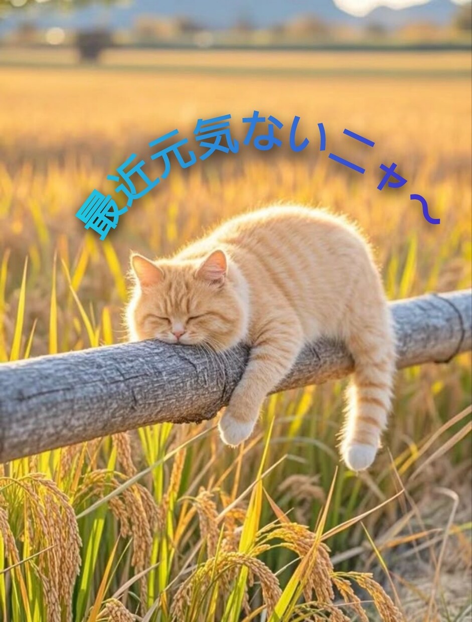 やさしい光で包み込む《ペットヒーリング》行います あなたの大切な家族（ペット）に、心からの癒しを届けます。 イメージ2