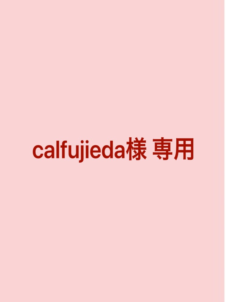 calfujieda様 専用の商品で出品しています calfujieda様 専用です★ イメージ1