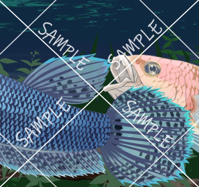 あなたの好きなこだわりの魚イラストお描きします 田舎で釣りばかりしていたから描ける魚イラストお描きします。 イメージ5
