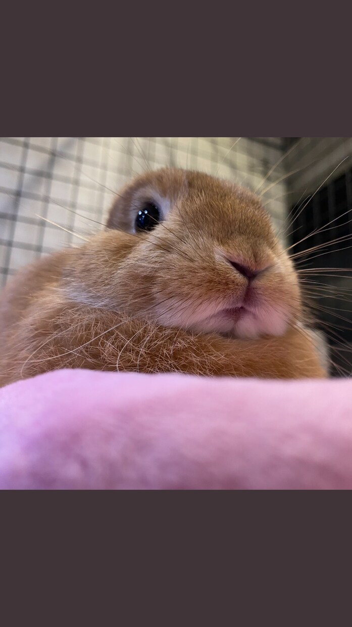 あなたのサンドバッグになります 愚痴言いたい放題です、聞かせてください イメージ1