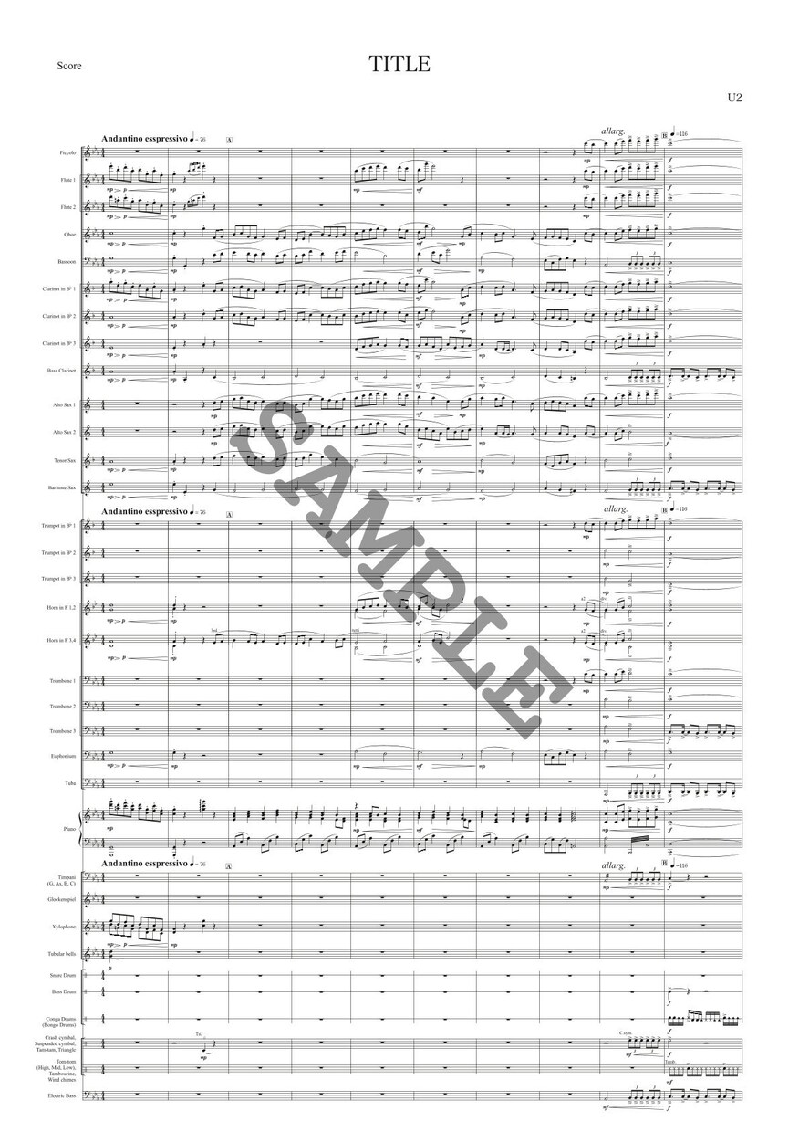 お手持ちの楽譜から、ご希望の楽器編成に編曲します ✅正確で素早い納品　✅オールジャンルOK イメージ4