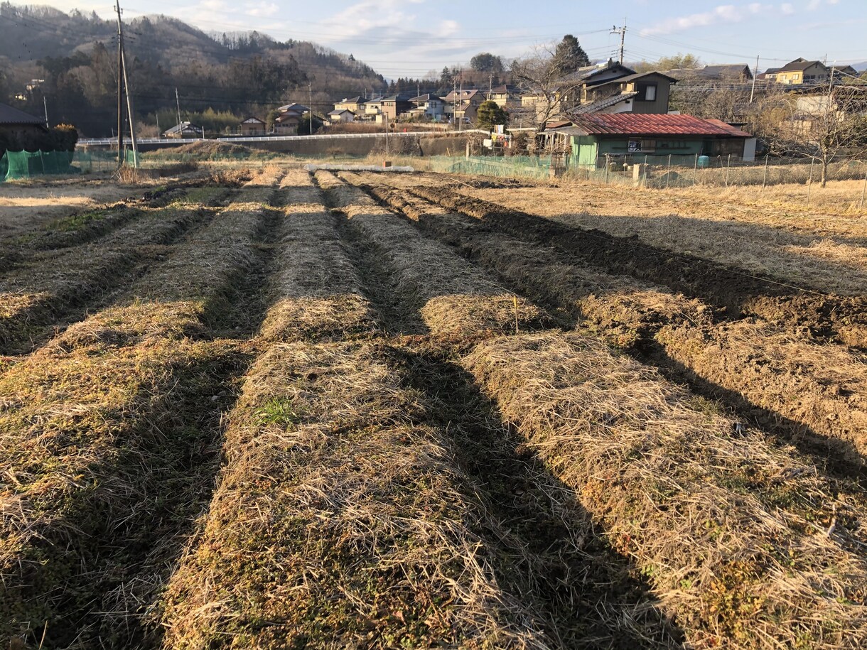 野菜作り、養鶏についての質問にお答えします 出来るだけ地球に優しく持続可能な生活を目指すには？ イメージ4