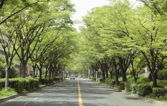 全国あちこち転勤族妻歴20年超の私がの悩み聴きます 楽しみ方/仕事/ストレス/友達いない/孤独/悩み/愚痴/疲れ イメージ9