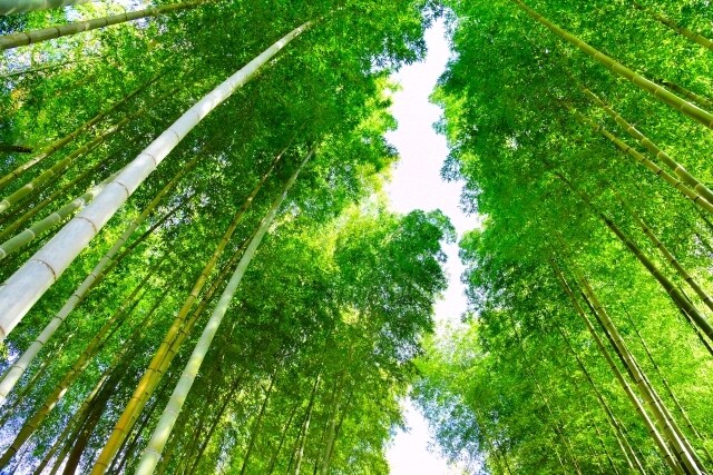 あなたに必要なメッセージをだします 辛い時こそ自分の潜在意識に耳を傾ける、そのお手伝いをします イメージ6