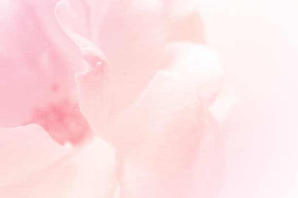 深く人を視るメニュー♦︎気持ち・対処法を視ます ♦︎ 魂まで深く視るため 予約のみとなります イメージ2