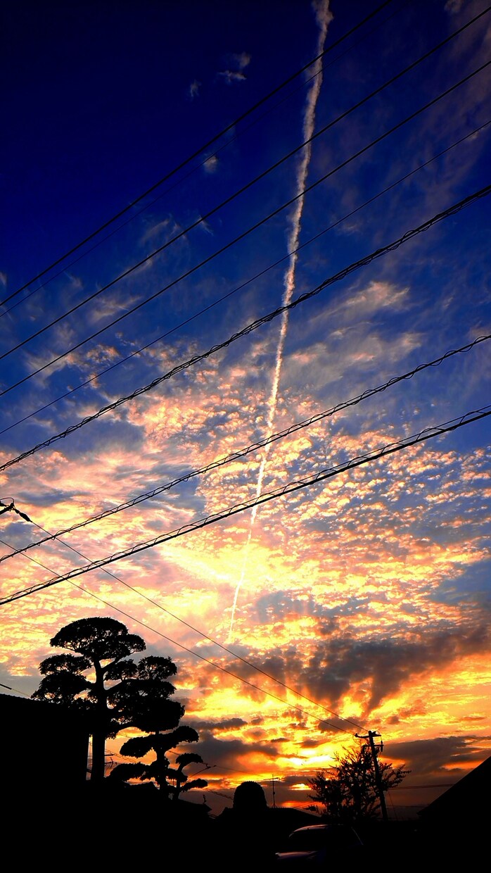 風景の写真を撮ります 最高の写真作品になるようにひとつひとつ心を込めて。 イメージ7