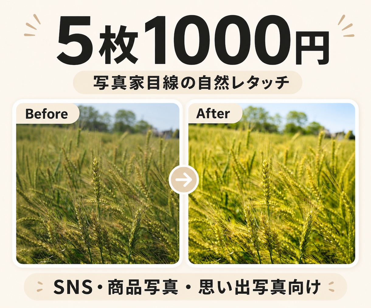 写真の色味・明るさを整えます SNS・商品写真を自然な雰囲気に補正します イメージ1