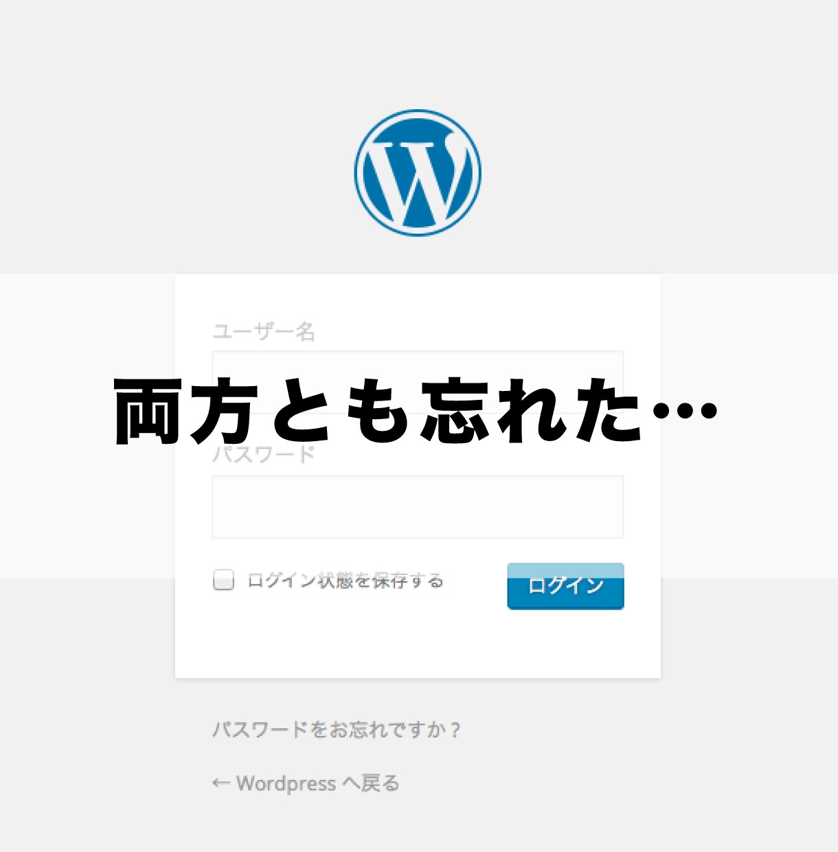 ワードプレスログインのエラー不具合を速く修正します オプション無料！最短10分~エラー修正！必要な作業は一切なし イメージ4