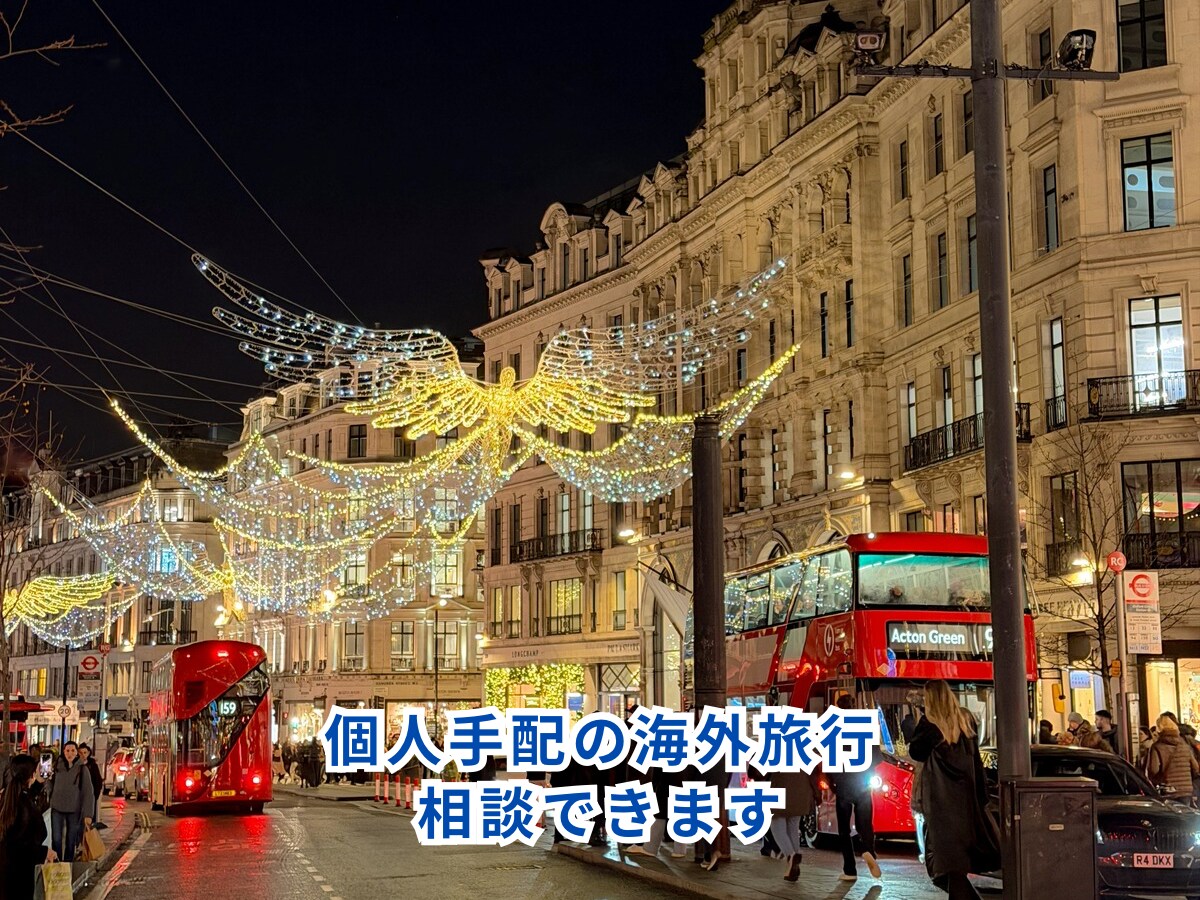 海外旅行のプランニング相談をします 旅の目的に合わせて一緒に考えます イメージ1