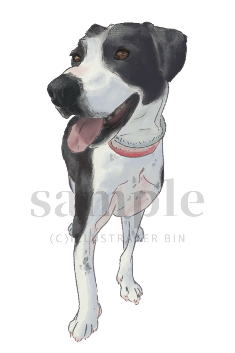 やさしいタッチでペットのイラスト描きます 犬猫小動物、爬虫類、なんでも描きます！ イメージ6
