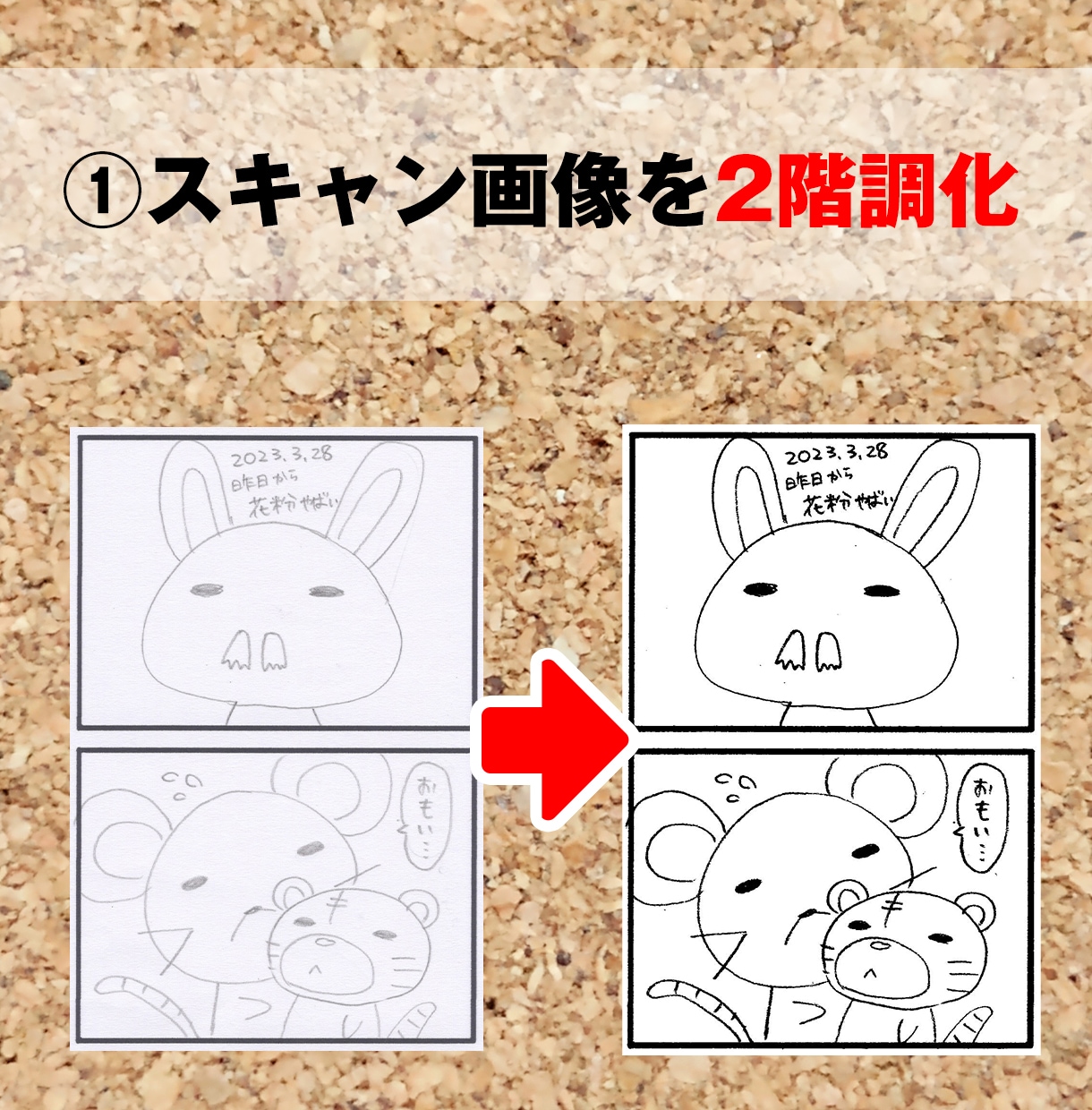 スキャン画像のゴミ取りをします スキャナーや写真で撮影した画像データを綺麗に加工します イメージ2