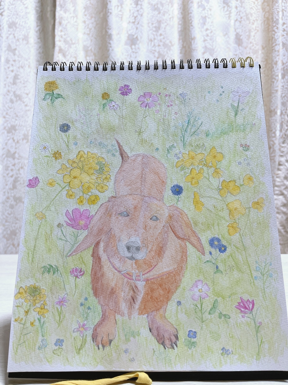 大切な貴方の家族を癒される絵にします 飼われている、ペットの絵を描かせて頂きます！ イメージ1