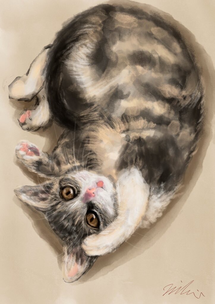 ふんわり可愛いペット似顔絵お描きします 大切な家族を“世界で1枚の宝物”に イメージ4