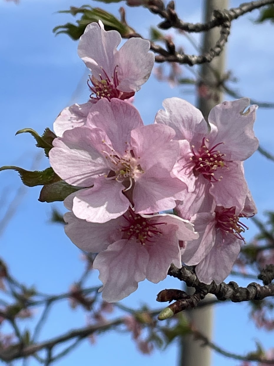 ほんの少しの時間でも、あなたのお話何でもききます 今日もおつかれさま♪いつも頑張っているあなたを応援します。 イメージ10