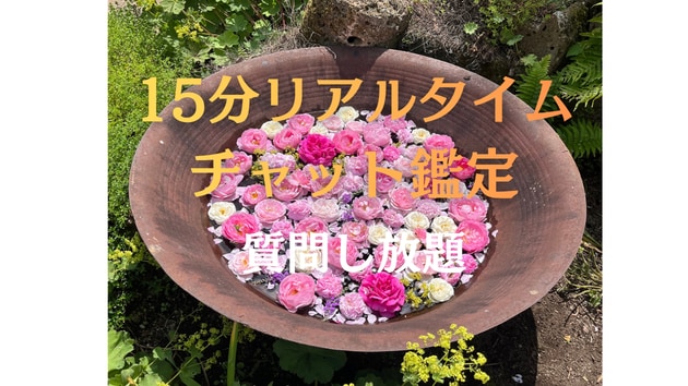 15分リアルタイムチャット鑑定占います リアルタイム占い、質問し放題です！恋愛、結婚、金運、仕事運 イメージ1