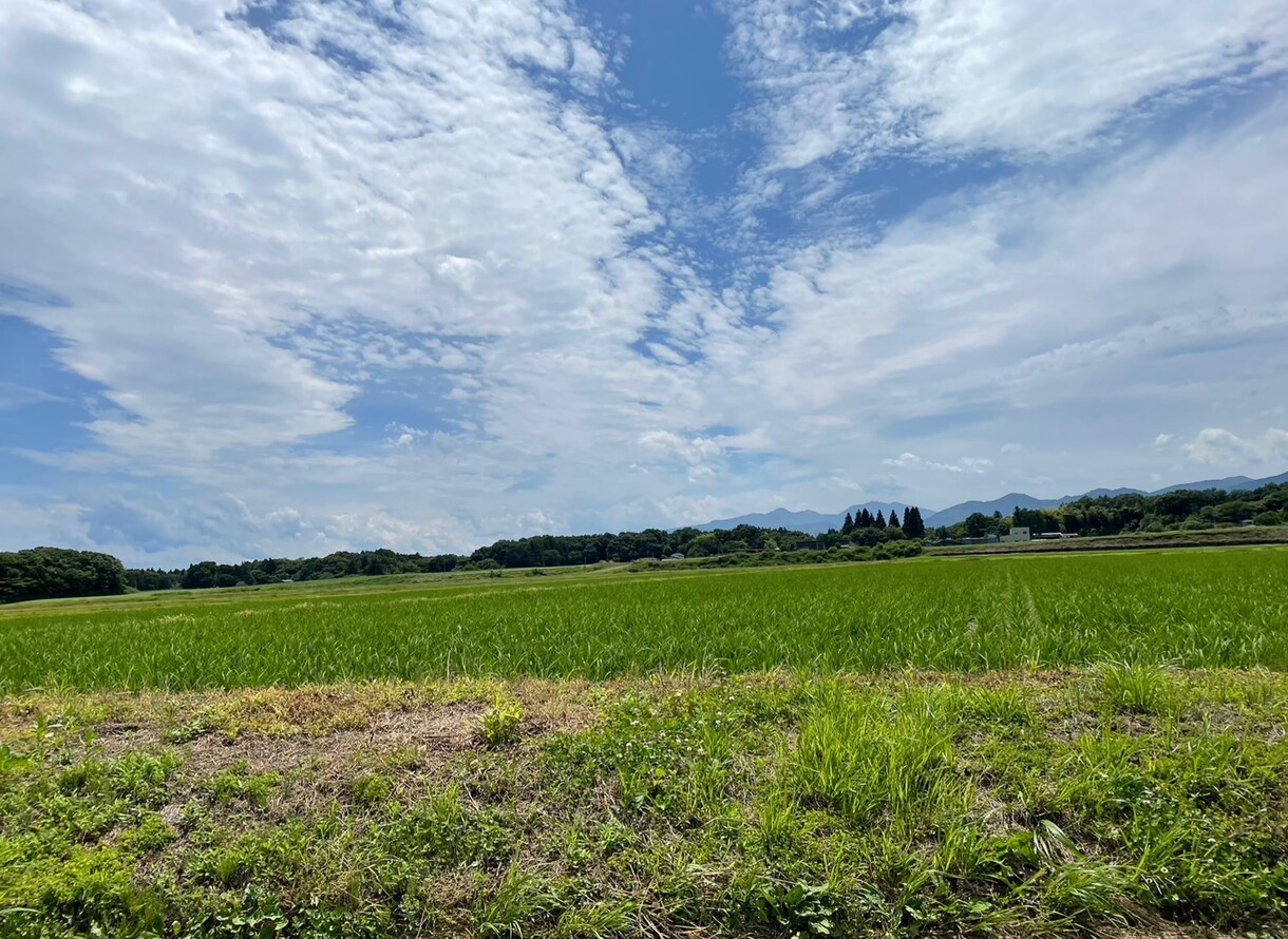 どんな話でも受け止めます 誰かに話したい！どんなお話でもかまいません！1分からでも⭐︎ イメージ1