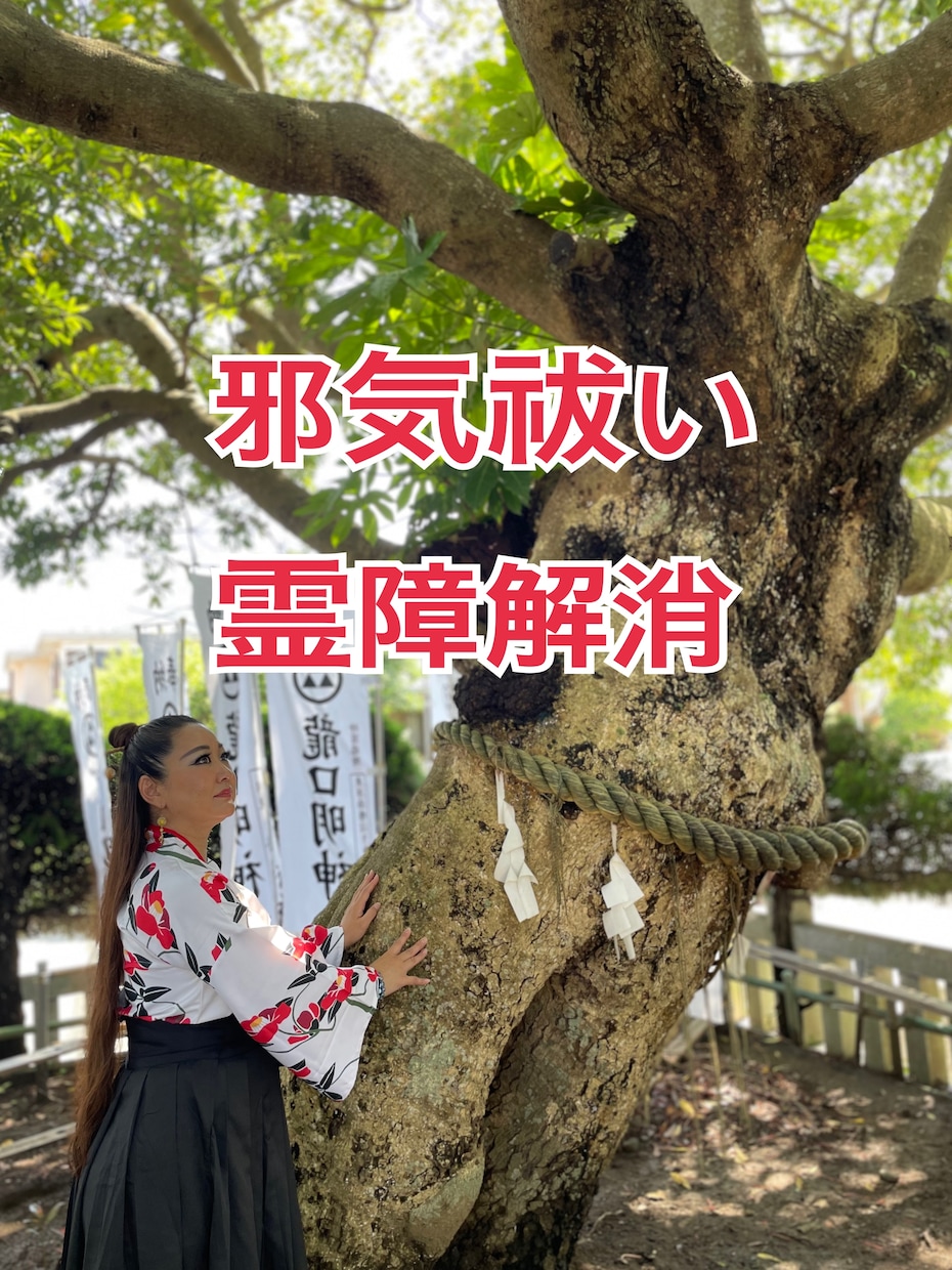 霊障解消します ☆陰陽術で霊的なことを取り除き天にあげます イメージ1