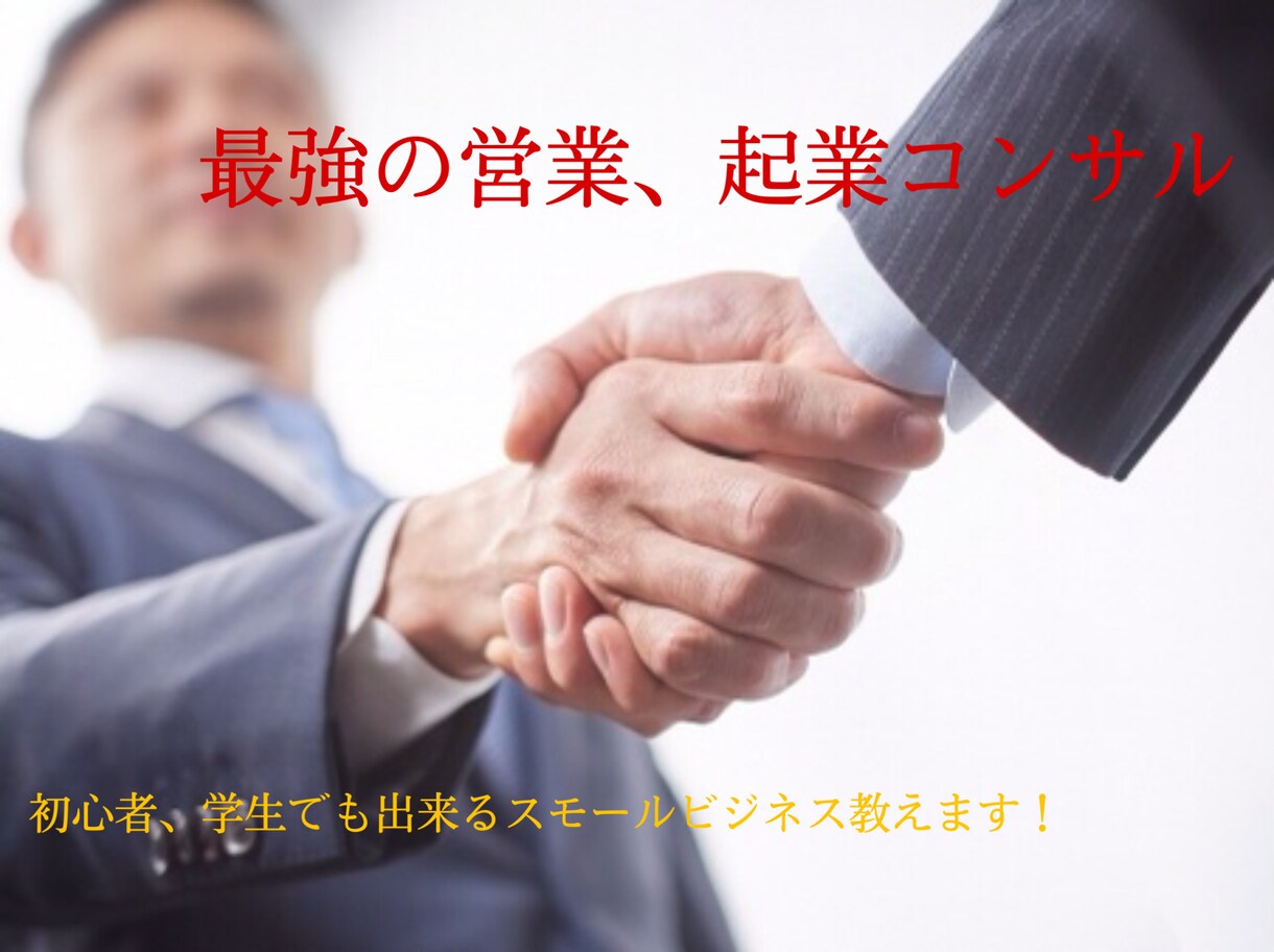 最強のビジネスコンサルします 初年度1億作った私が手がけるビジネスコンサル イメージ1