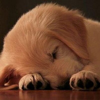 気持ちに寄り添ったメールカウンセリングを提供します 一人で抱え込まないで、気軽に話してみませんか イメージ1