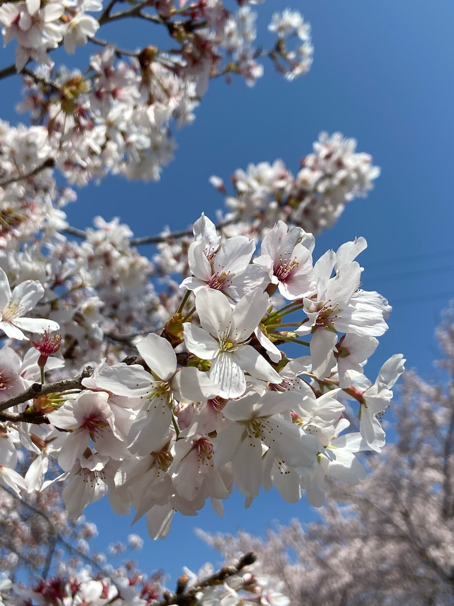 いまの不安と、これからの未来について寄り添います 不安はあって当然です。その不安を受け止めるお手伝いをします。 イメージ8
