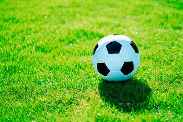 サッカーご相談、それぞれに合ったアドバイス致します 個人練習、チーム練習、戦術分析に関するアドバイス致します イメージ1