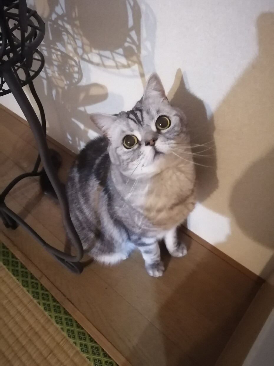 表舞台で輝けますよう、愛と誠意の鑑定をします ♥霊感タロット⭐恋愛・復縁・仕事・夫婦・様々な人間関係 イメージ3