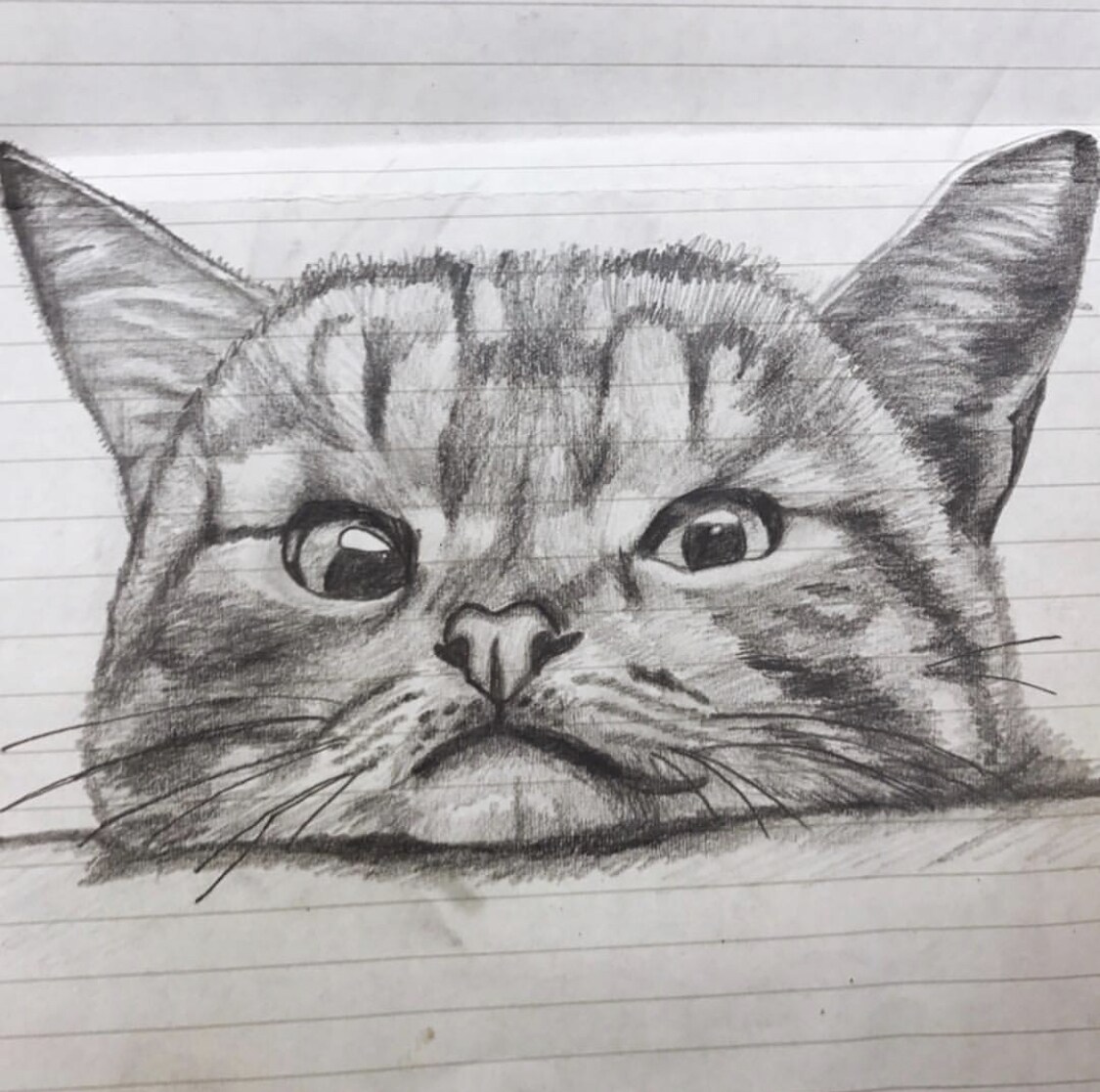 みなさんのペットの似顔絵描きます 愛するペットの絵が欲しいあなたへ イメージ3