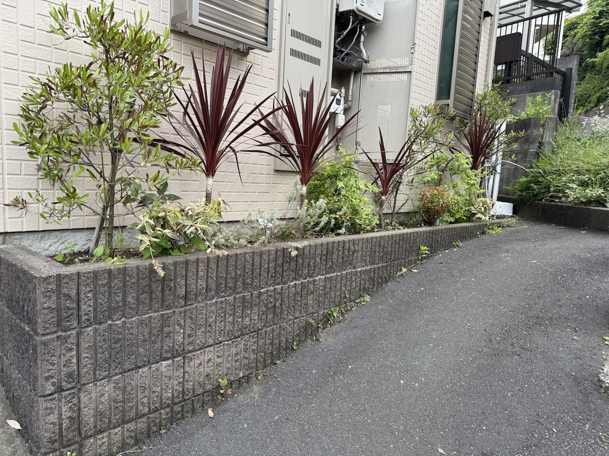 庭木剪定アドバイス手入れ方法をお伝えします 剪定歴16年のプロが、あなたの庭木の状態をアドバイスします イメージ4