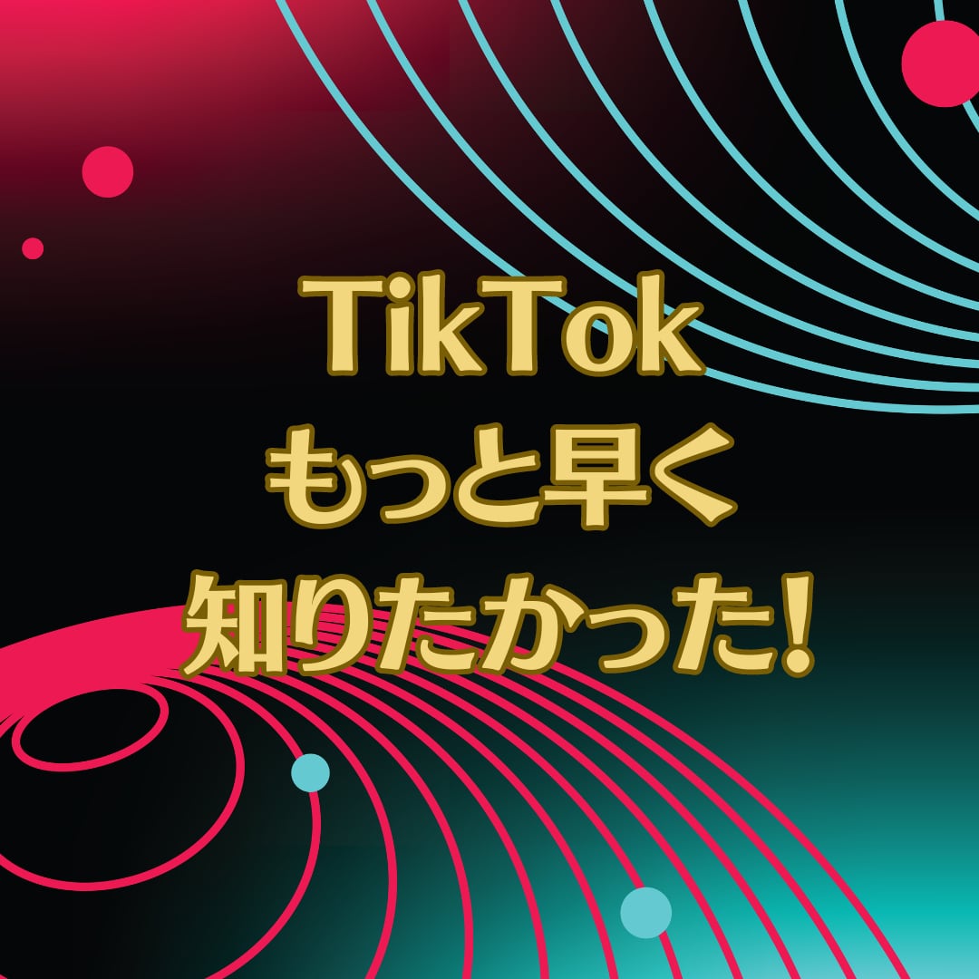 誰も教えない！㊙️最終！完全マニュアル教えます TikTokティックトック超初心者でも大丈夫完全版！ イメージ5
