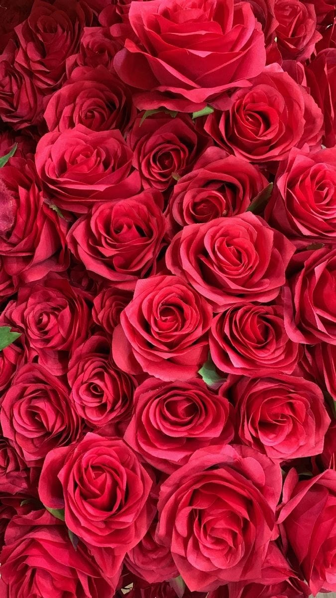あなたの写真を見て魂の色が何色かをお伝えします 色のみのお伝え☆生まれながらの魂の色を身に着けて運気アップ イメージ6