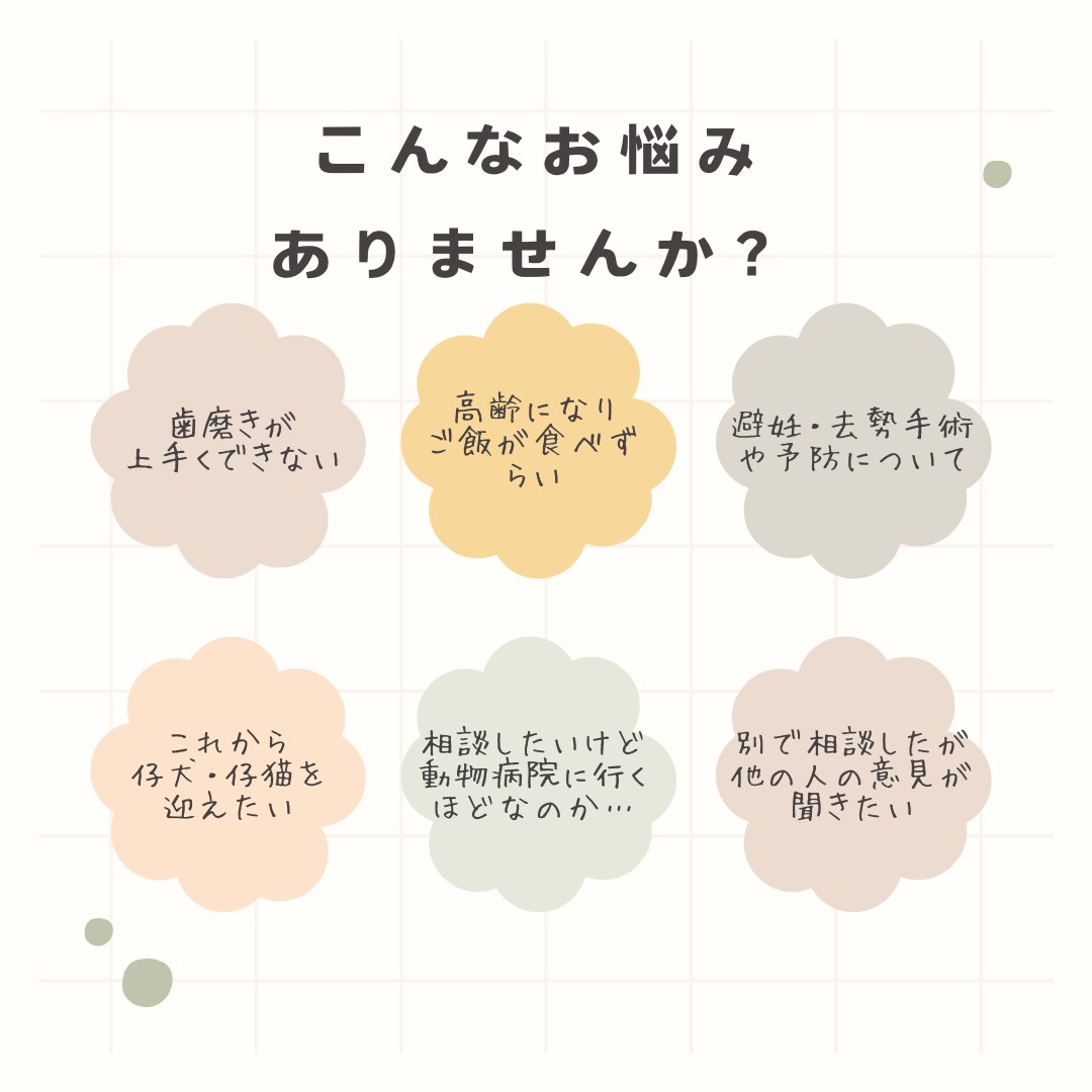 現役動物看護師がペットのお悩みお聞きします しつけ相談、病気の相談、グッズや食事の選び方など イメージ2